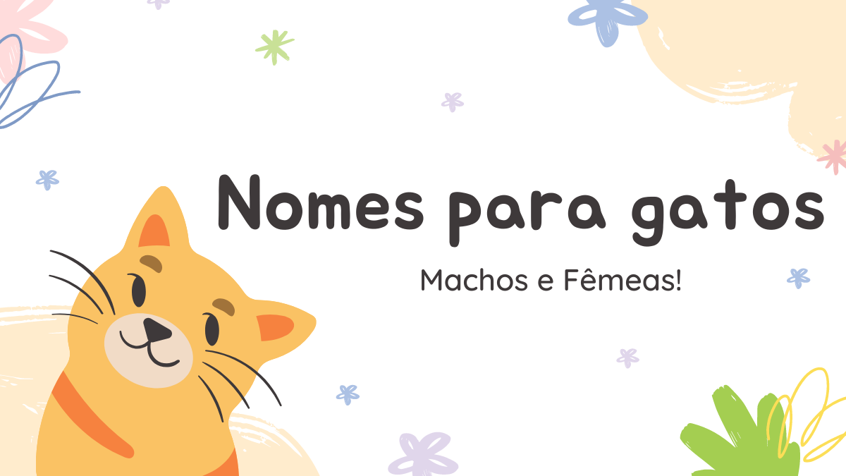 nomes para gatos machos e femeas